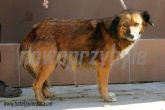 04.10.2013 UJAZD SUKA 56184